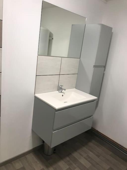 Le P'Tit Bragard Apartment Saint-Dizier Bagian luar foto
